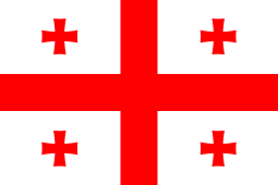 Flag Of Georgia #12