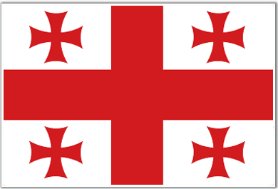 Flag Of Georgia #11