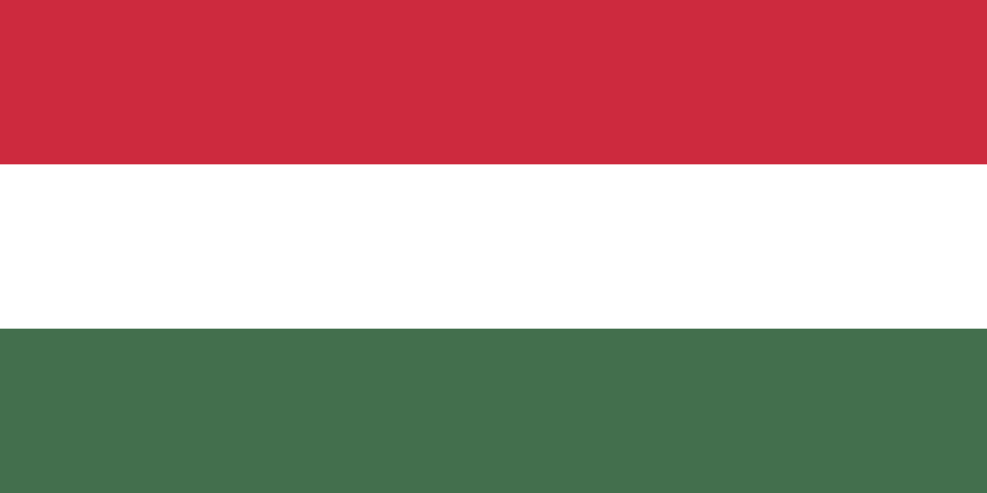 Flag Of Hungary #1