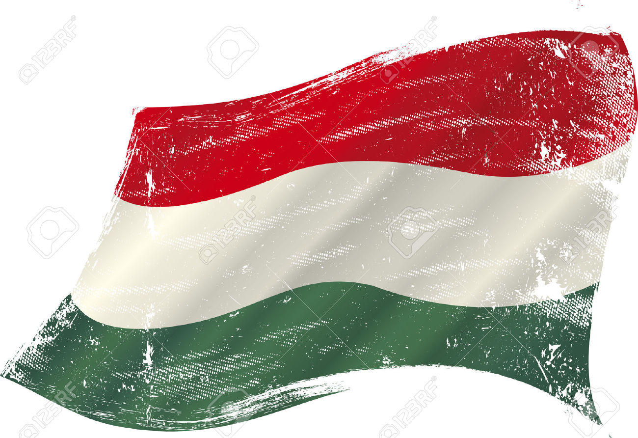 Flag Of Hungary #9