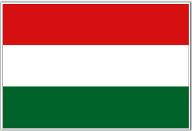 Flag Of Hungary #12
