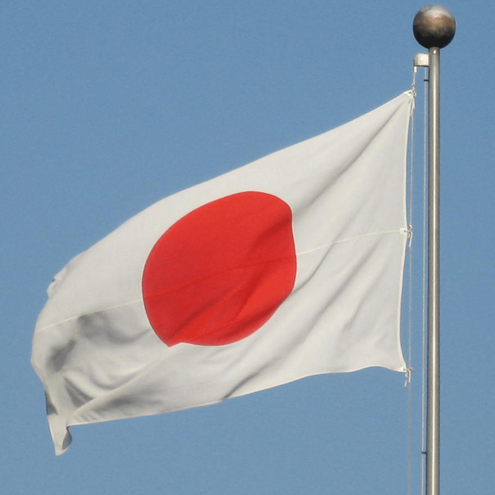 Flag Of Japan #20