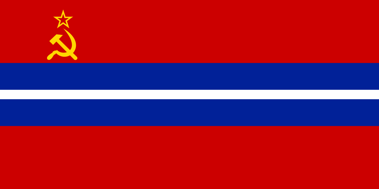 Flag Of Kyrgyzstan #19