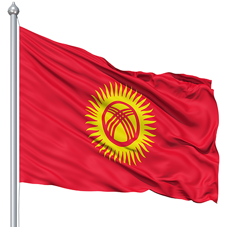 Flag Of Kyrgyzstan #23