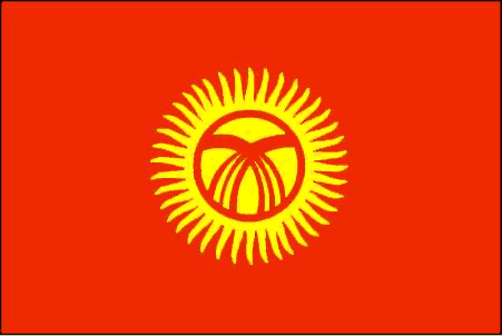 Flag Of Kyrgyzstan #13