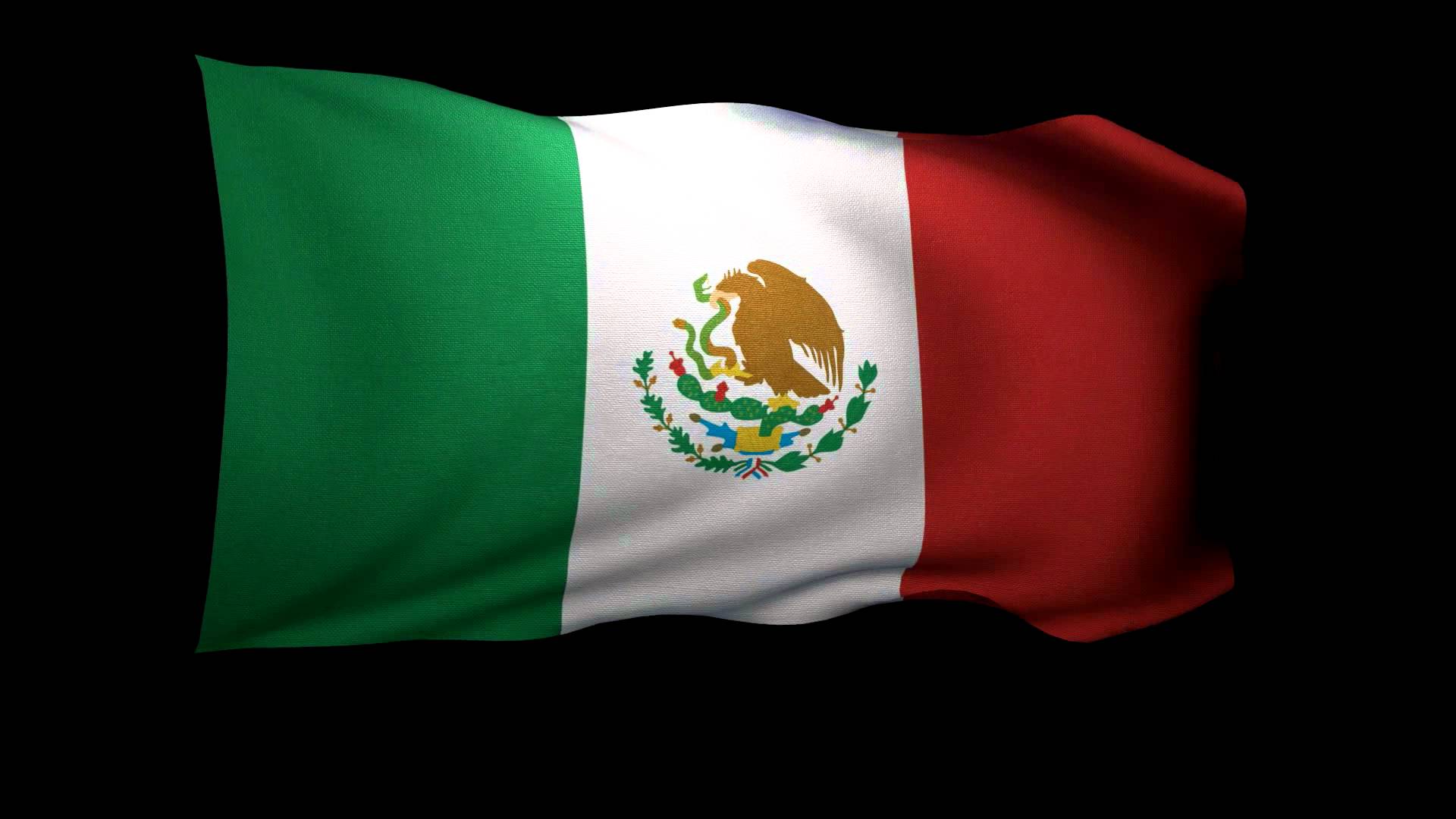 Flag Of Mexico #10
