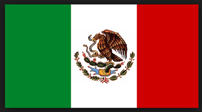 Flag Of Mexico #20