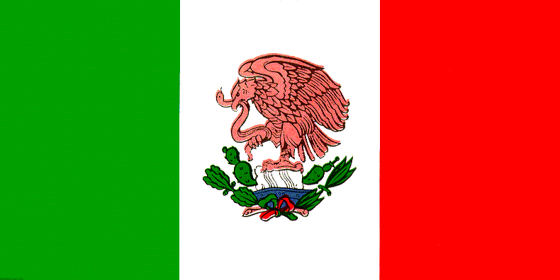 Flag Of Mexico #23