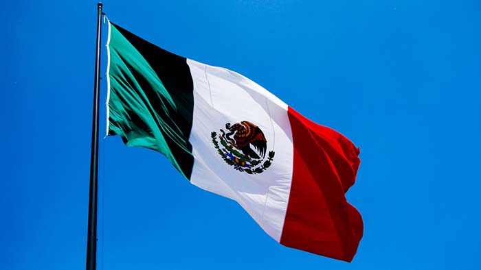 Flag Of Mexico #17