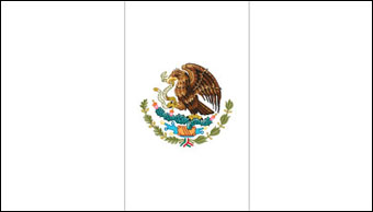 Flag Of Mexico #15