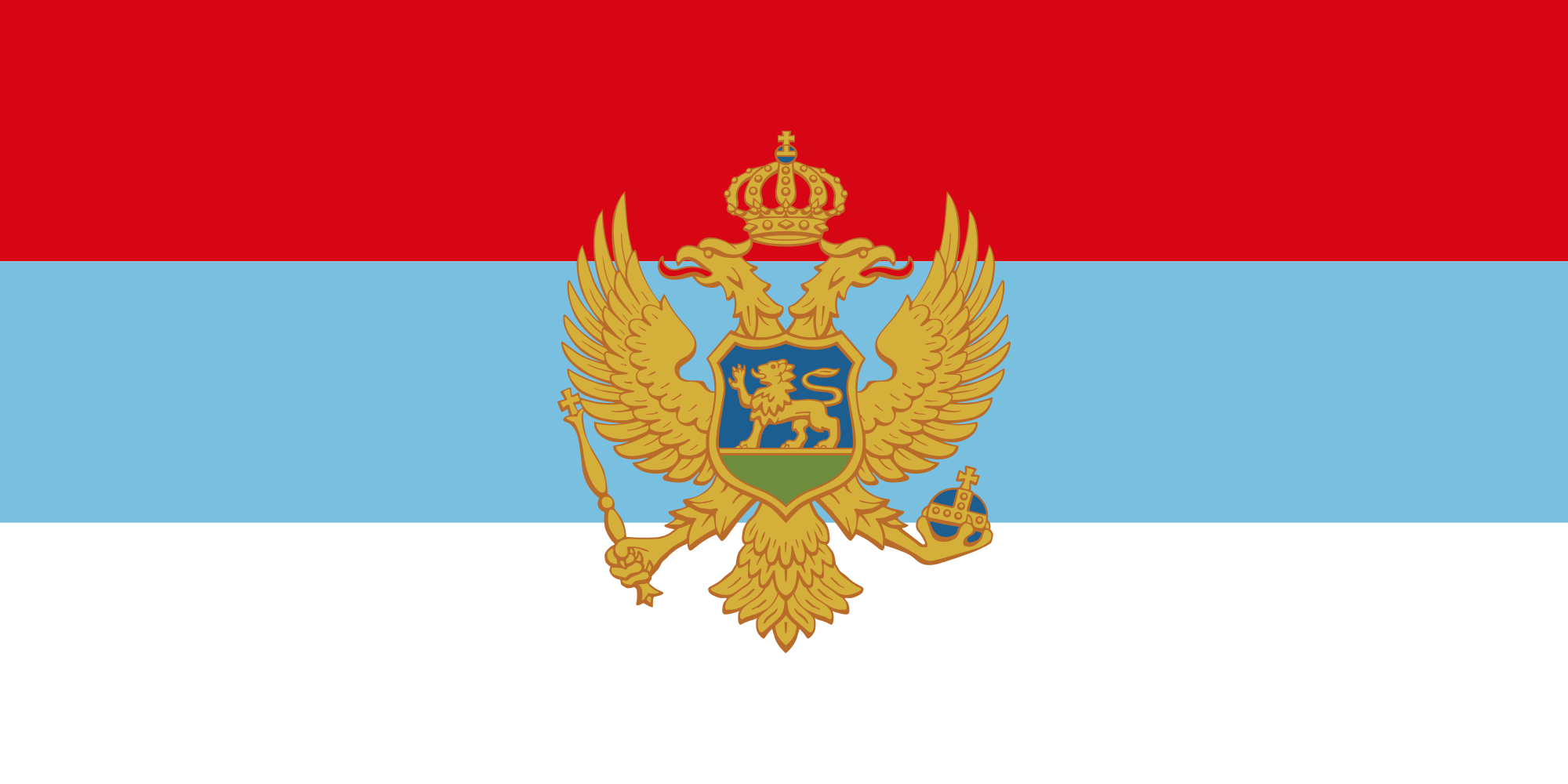 Flag Of Montenegro #3