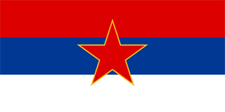 Flag Of Montenegro #14