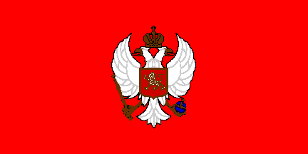 Flag Of Montenegro #22