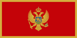 Flag Of Montenegro #11