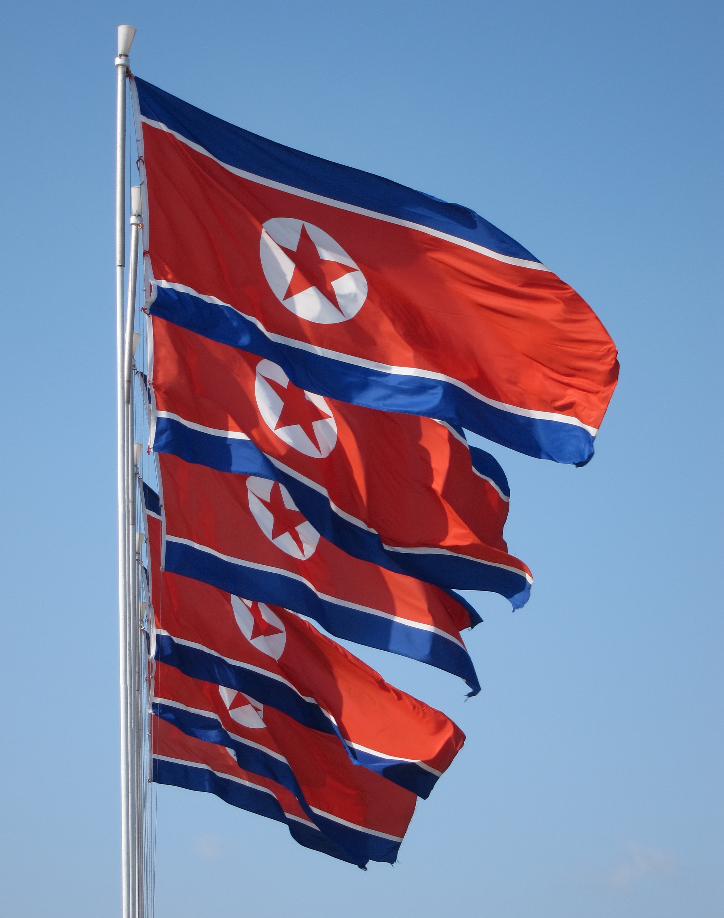 Nice Images Collection: Flag Of North Korea Desktop Wallpapers