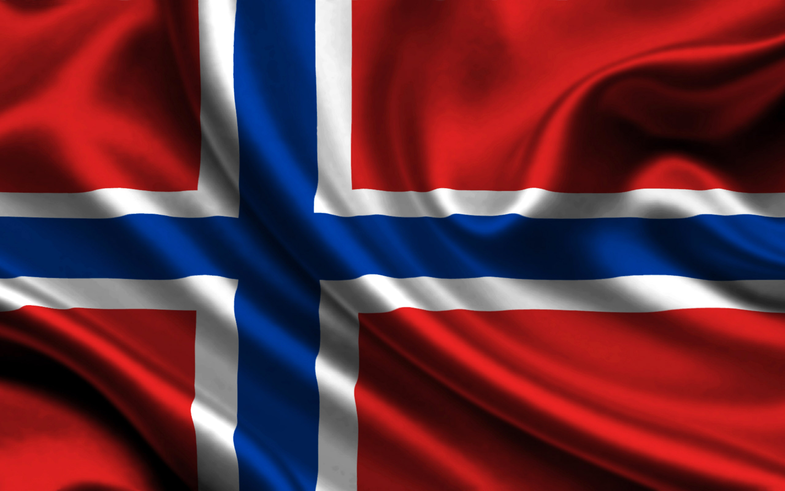 Flag Of Norway #8
