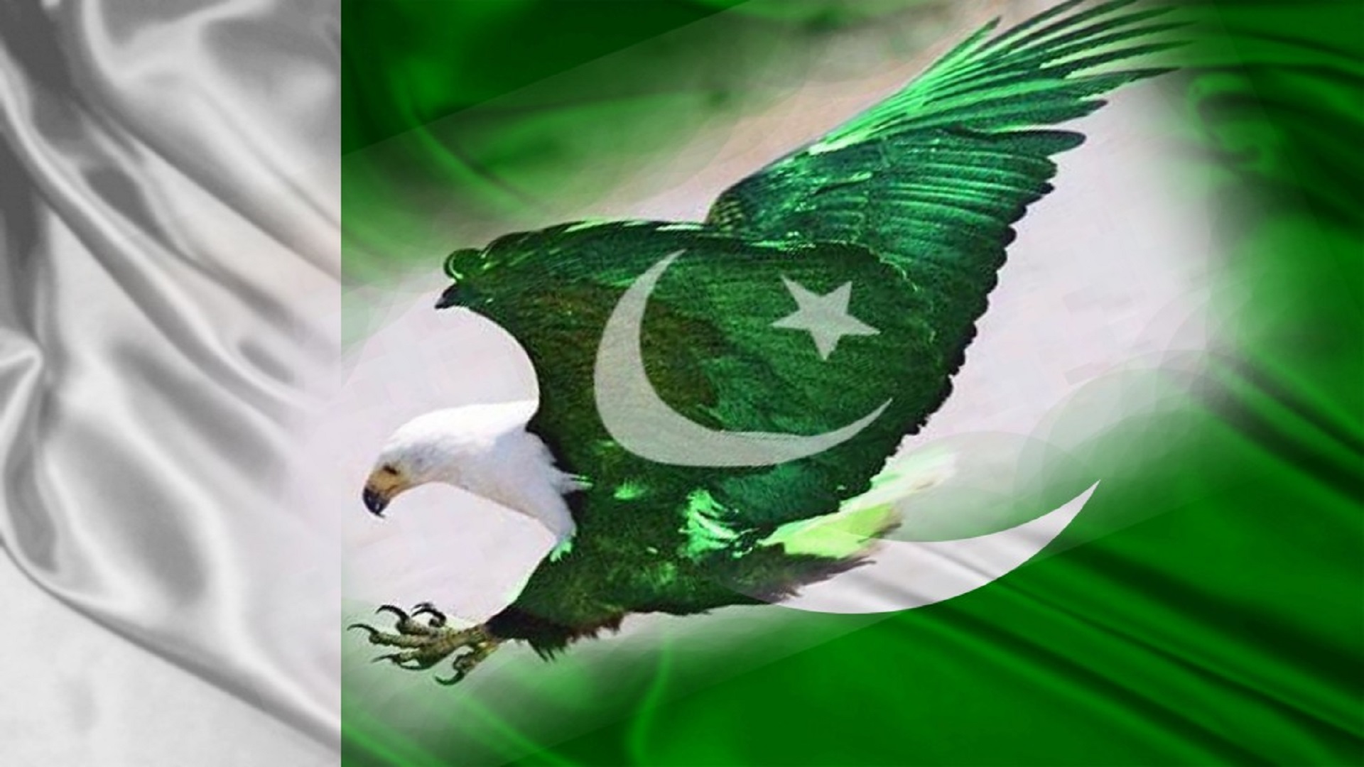 Nice Images Collection: Flag Of Pakistan Desktop Wallpapers