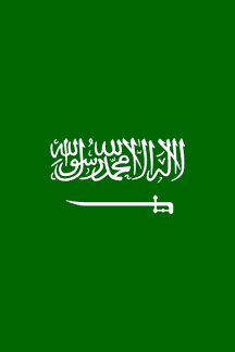 Flag Of Saudi Arabia #24