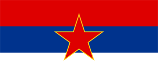 Flag Of Serbia #20