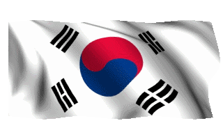 Nice wallpapers Flag Of South Korea 320x200px