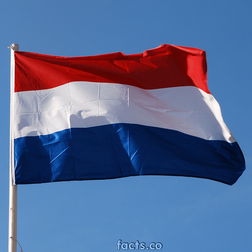 Flag Of The Netherlands Backgrounds, Compatible - PC, Mobile, Gadgets| 1000x1000 px