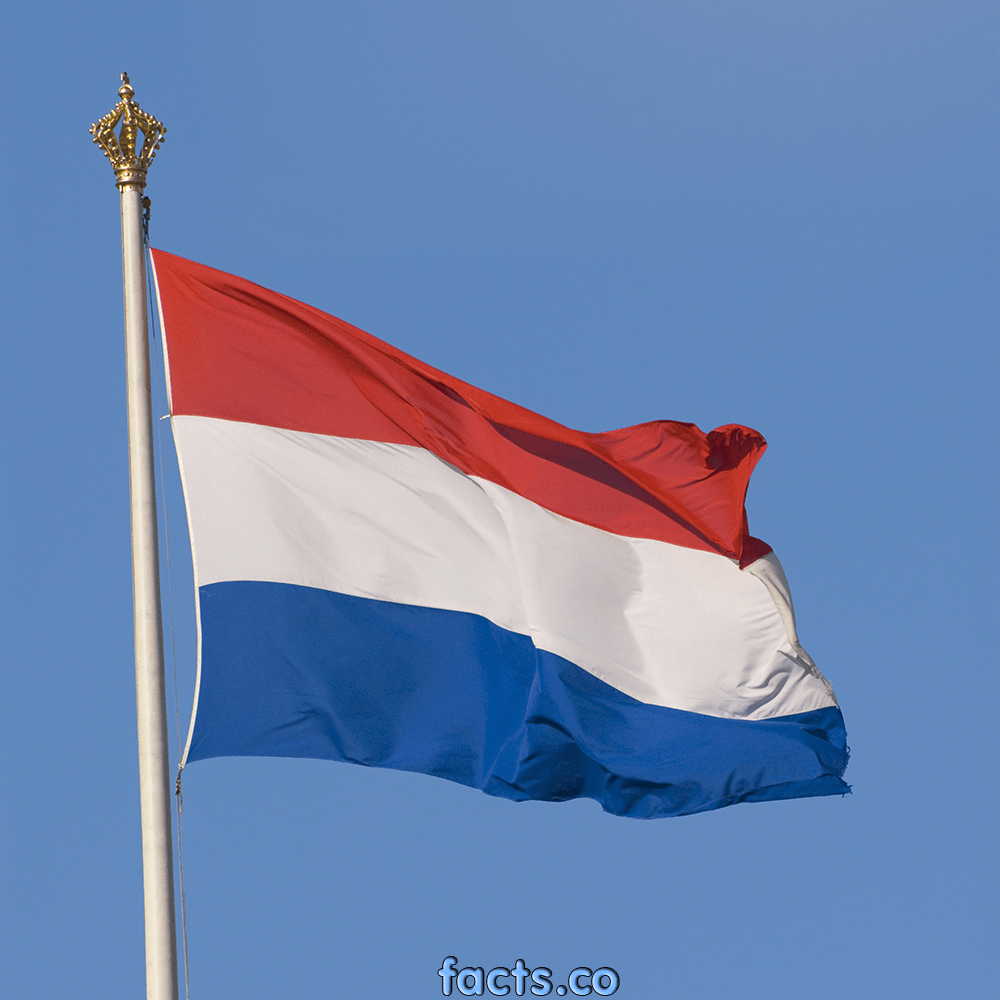 Nice wallpapers Flag Of The Netherlands 1000x1000px