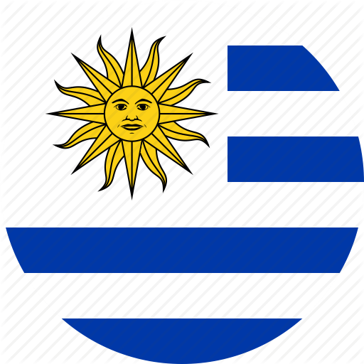 Flag Of Uruguay #24