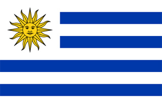 Flag Of Uruguay #20