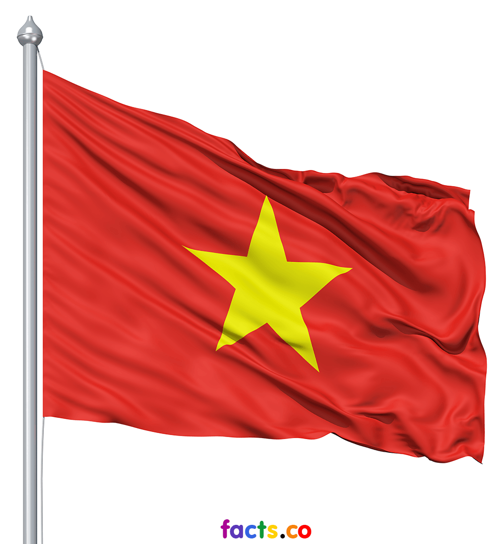 Nice wallpapers Flag Of Vietnam 1000x1079px