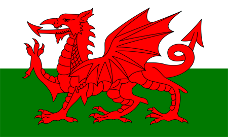 Flag Of Wales Pics, Misc Collection