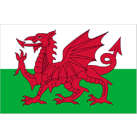 Amazing Flag Of Wales Pictures & Backgrounds