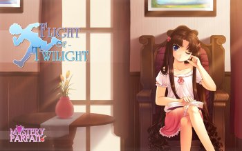 Flight Of Twilight High Quality Background on Wallpapers Vista