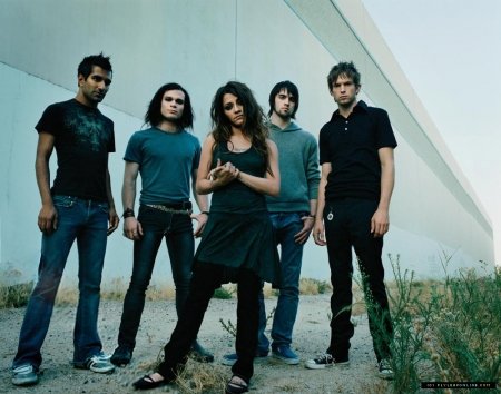Flyleaf Backgrounds, Compatible - PC, Mobile, Gadgets| 450x354 px
