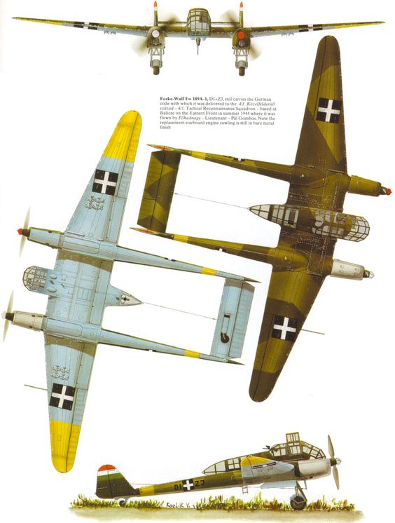 Images of Focke-Wulf Fw 189 | 564x746