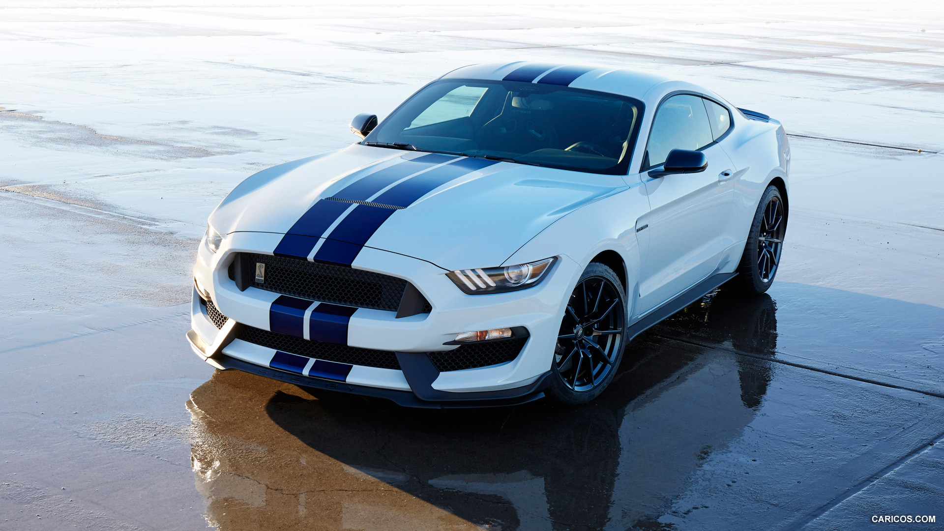 Ford Mustang Gt350 Wallpapers Vehicles Hq Ford Mustang Gt350 Pictures 4k Wallpapers 2019