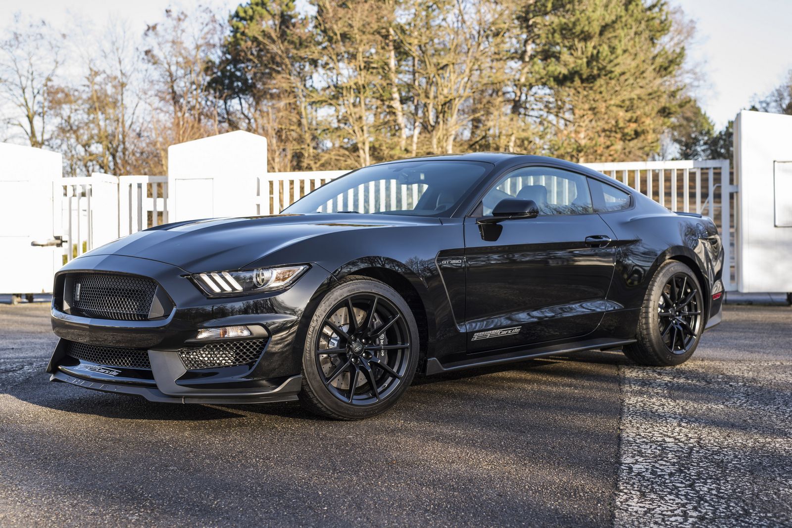Ford Mustang GT350 #10