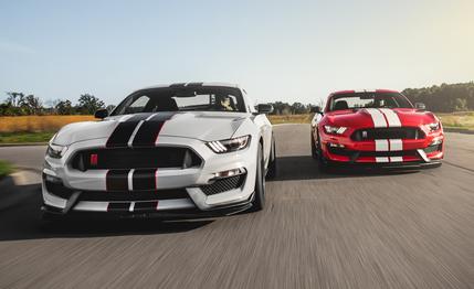 Images of Ford Mustang Shelby GT350 | 429x262
