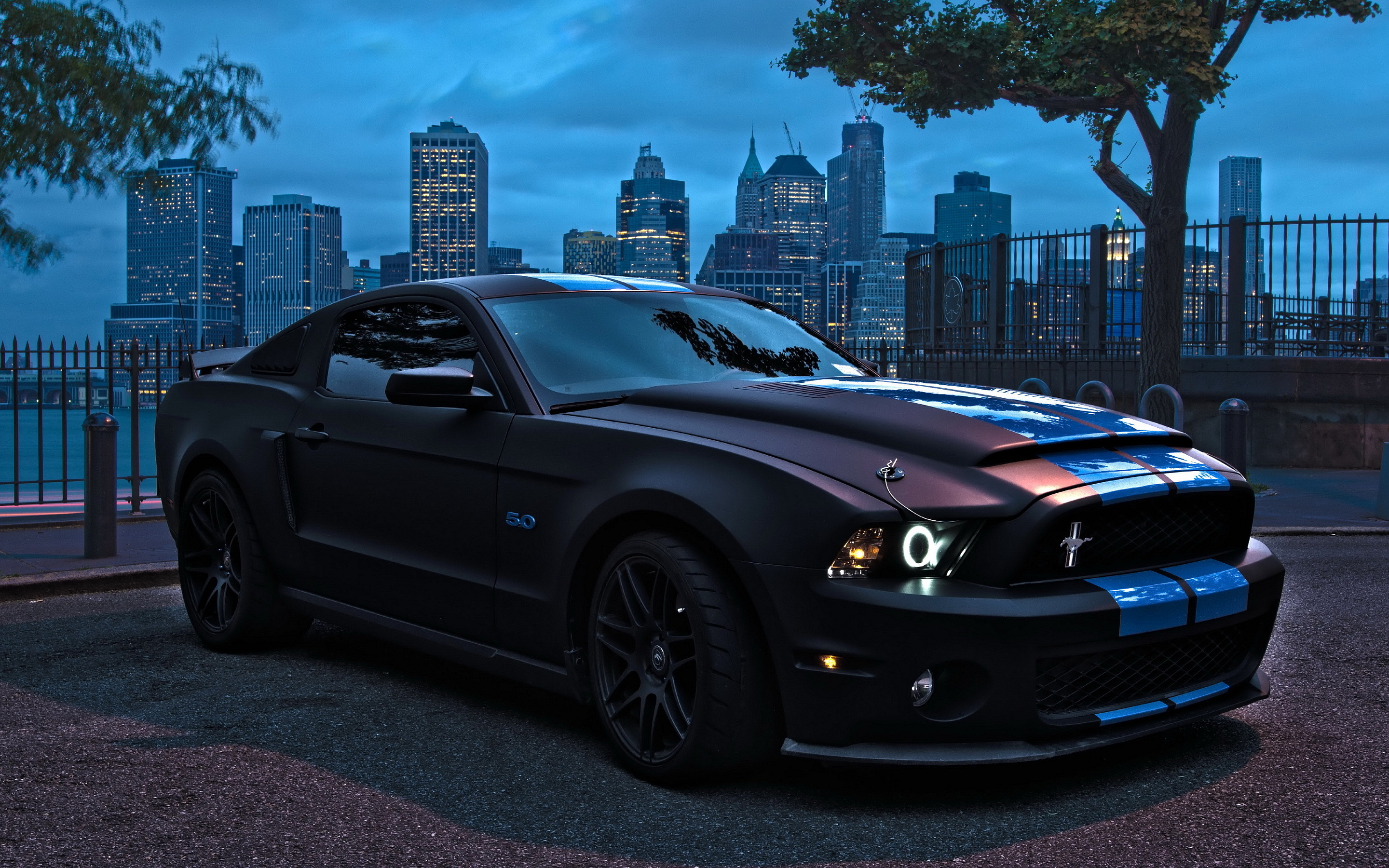 Ford Mustang GT500 #8