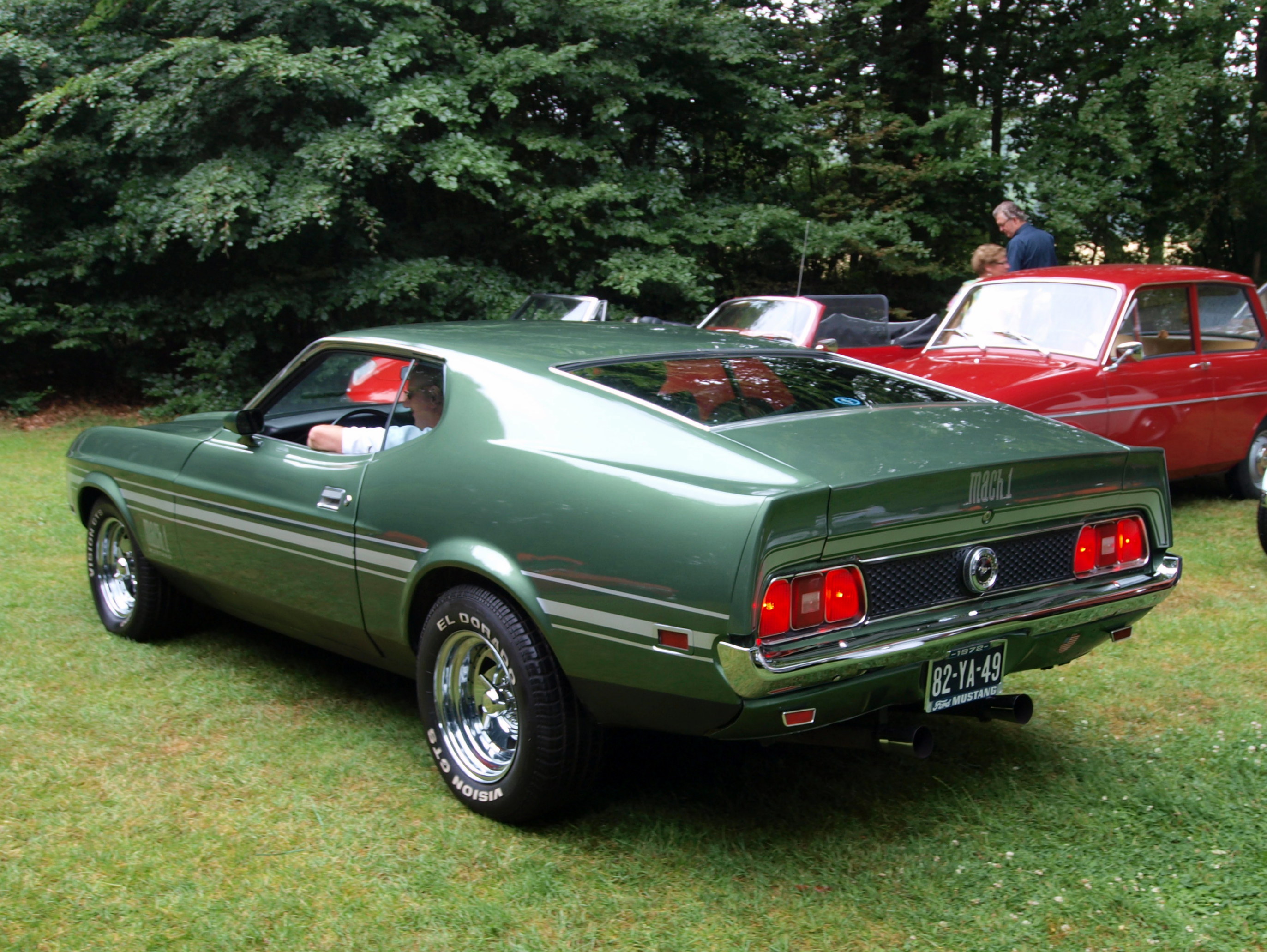 Ford Mustang Mach I #10
