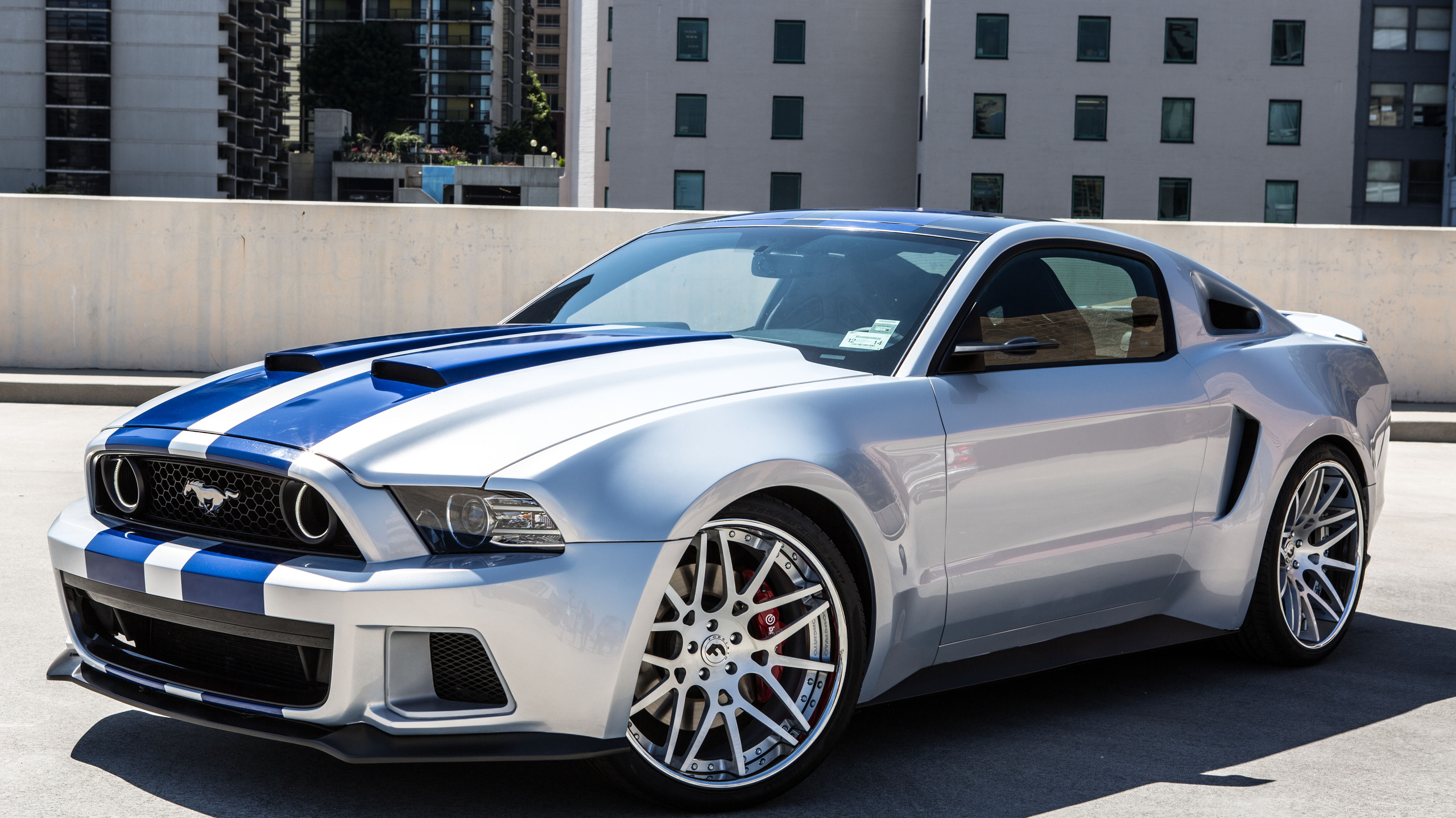High Resolution Wallpaper | Ford Mustang Shelby 2560x1440 px