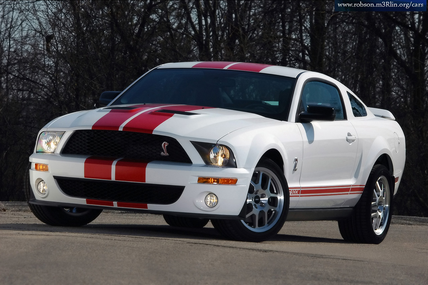 Ford Mustang Shelby Cobra GT 500 #10