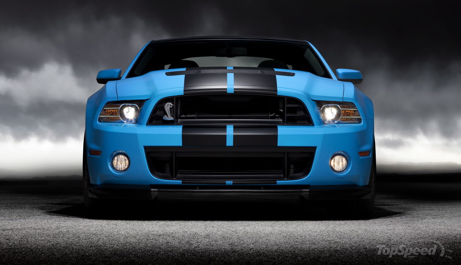 Ford Mustang Shelby Cobra GT 500 #8
