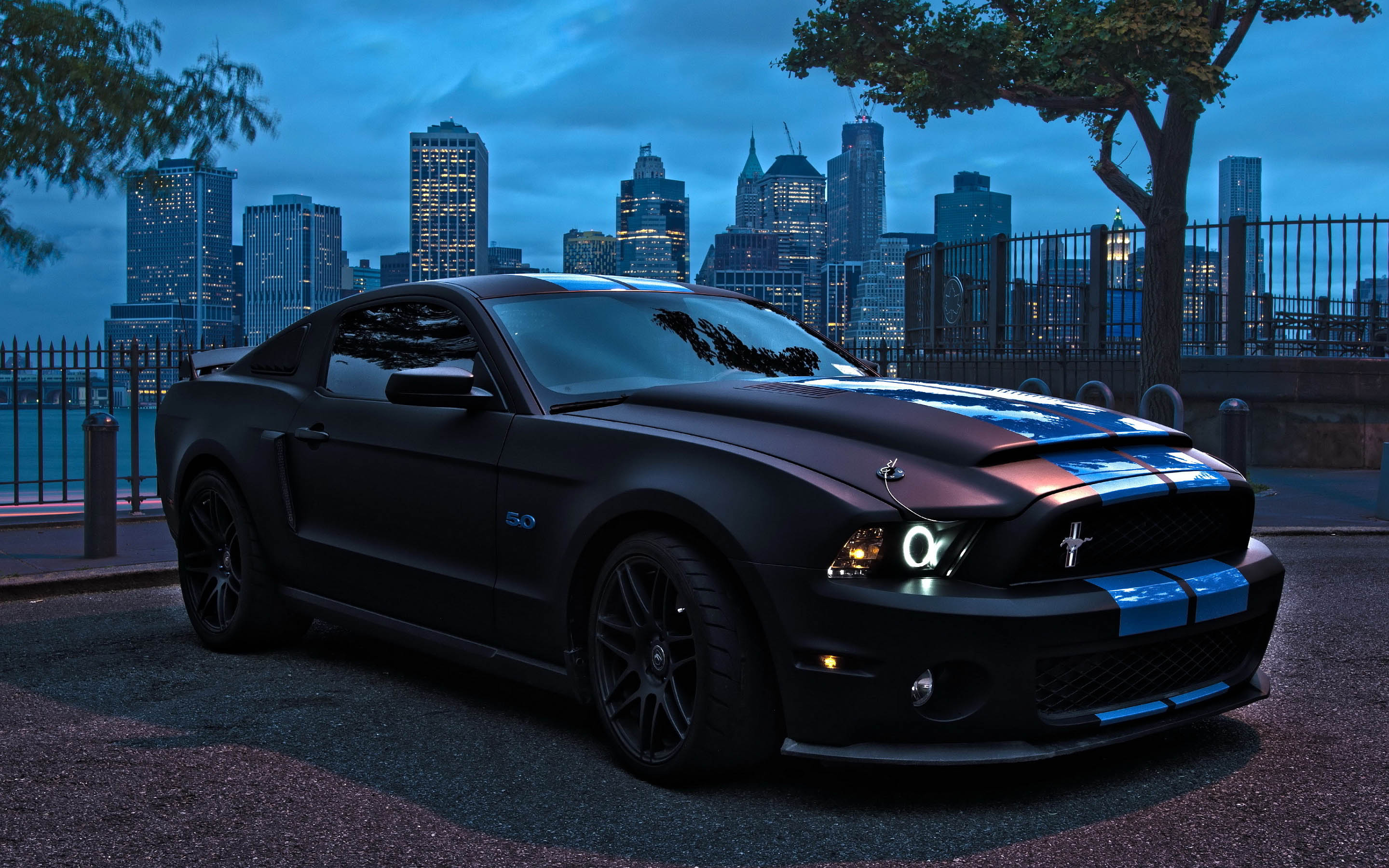 Images of Ford Mustang Shelby Cobra GT 500 | 2880x1800