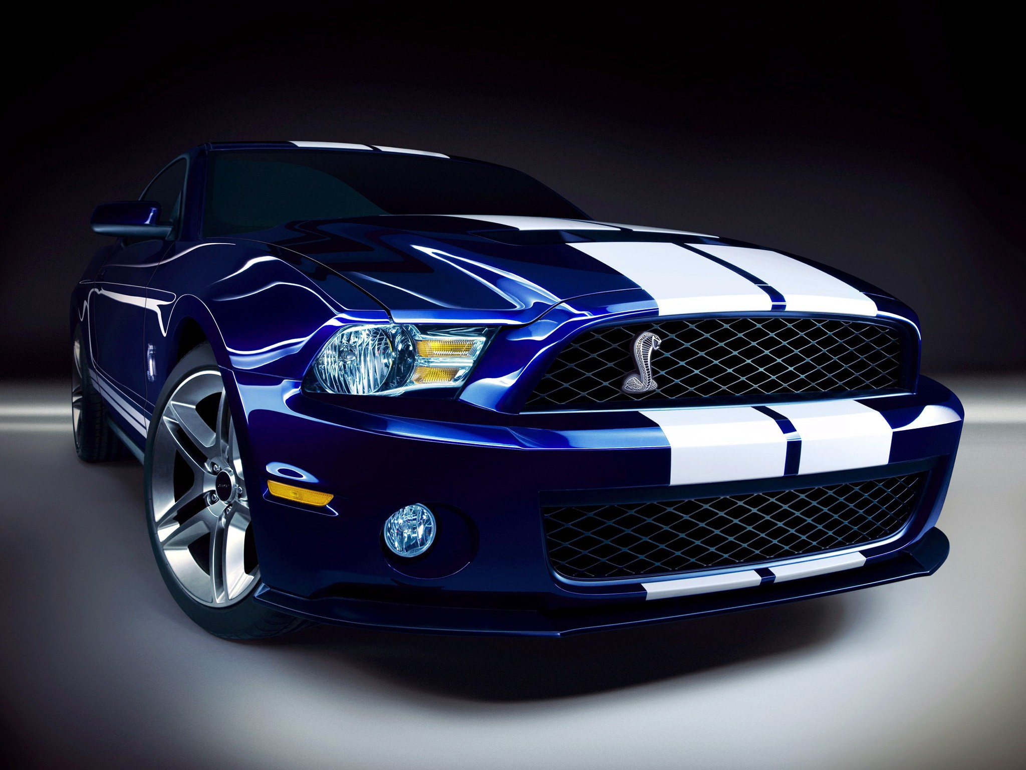 Ford Shelby #21
