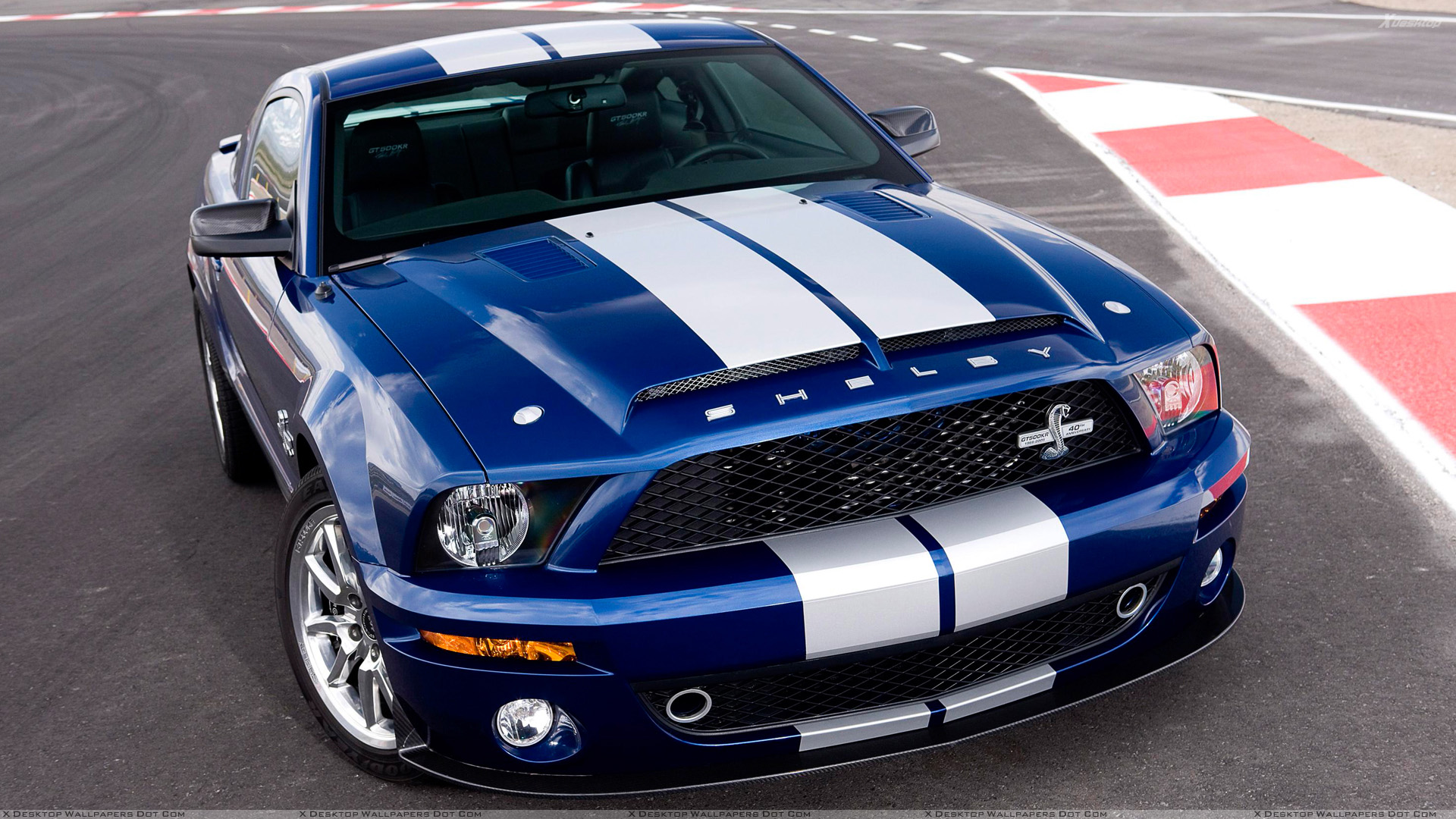 Ford Shelby High Quality Background on Wallpapers Vista