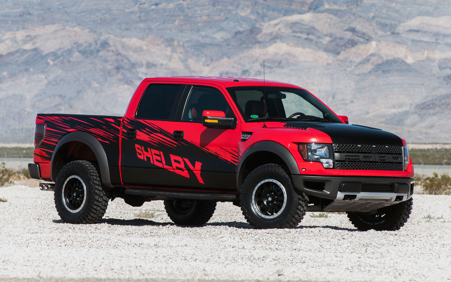 Ford Shelby Raptor #17