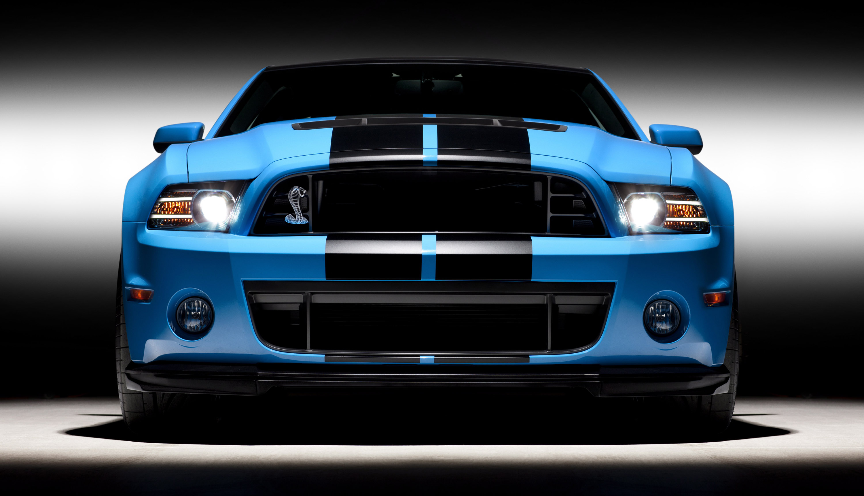 Ford Shelby #14