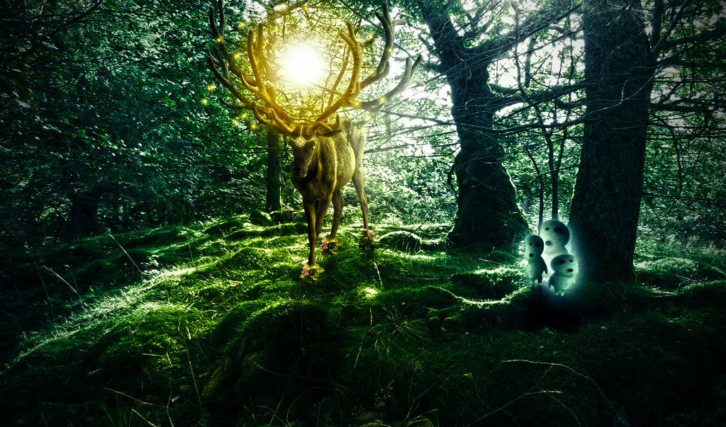 Forest Spirit Pics, Artistic Collection