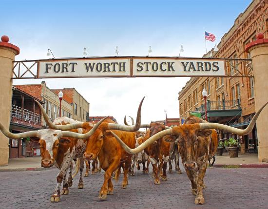 Images of Fort Worth | 550x429