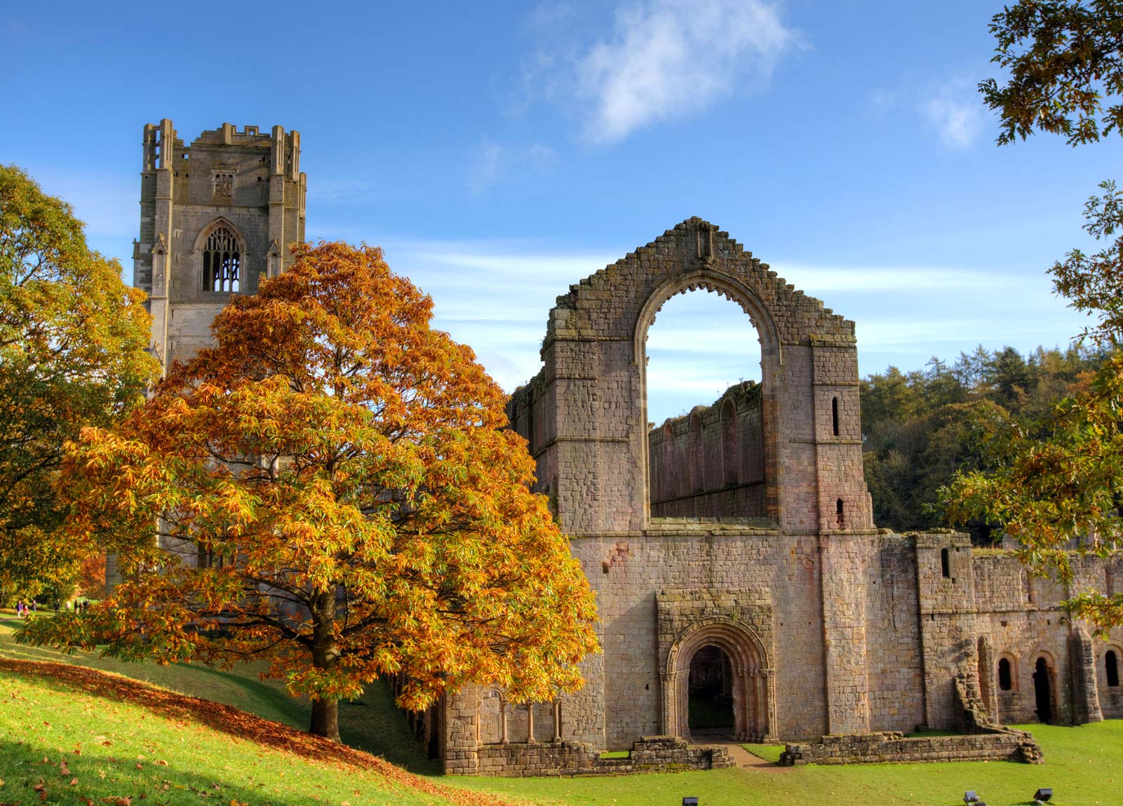 Fountains Abbey Backgrounds, Compatible - PC, Mobile, Gadgets| 1601x1149 px